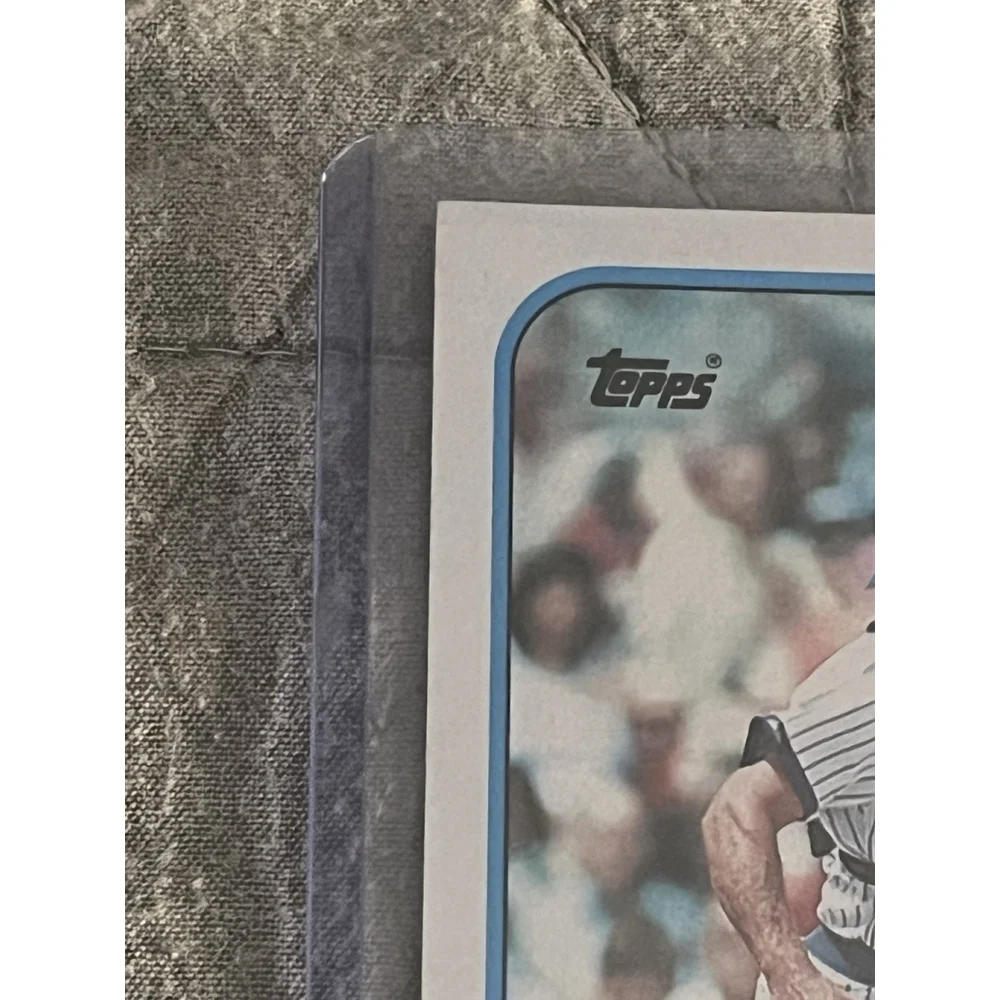 Damon Berryhill Chicago Cubs 1989 Topps Baseball Card